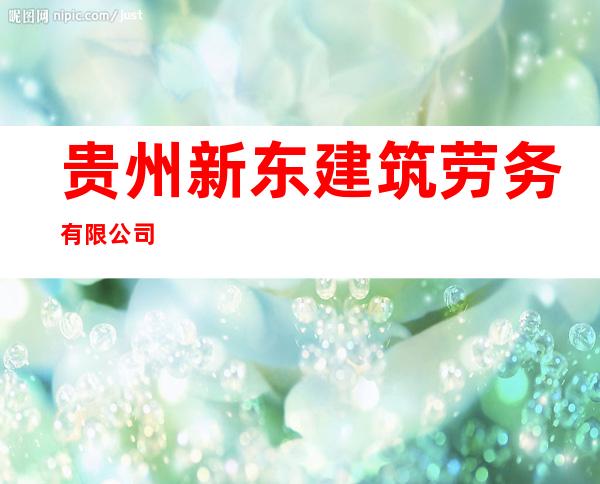 贵州新东建筑劳务有限公司